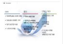 현대차(Hyundai) 미국진출전략 : (현대차 어슈어런스 프로그램) 현대 자동차의 미국 및 중국진출전략.ppt 24페이지