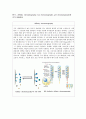 유전자 재조합 단백질의 정제 (Affinity chromatography, Ion chromatography, gel chromatography 설명 & Protease inhibitor의 종류와 사용방법 & 단백질분리정제에 이용되는 fusion tag의 종류와 특성) 1페이지