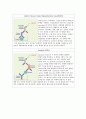 단백질의 정량 (Microplate에 의한 단백질정량방법, ELISA (Enzyme-linked Immuno Sorbent Assay)) 2페이지
