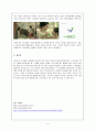 [소비자 행동론] 제7장 소비자 정보획득과 정보처리  3페이지