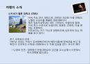[KCU창의적 문제해결전략] 테마가 있는 창의적 여행 계획 - ‘뷰티풀마인드’ 존 F. 내쉬를 보라.pptx 13페이지