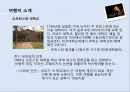 [KCU창의적 문제해결전략] 테마가 있는 창의적 여행 계획 - ‘뷰티풀마인드’ 존 F. 내쉬를 보라.pptx 14페이지
