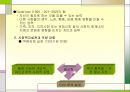 사회복지실천과 역량강화 발표.pptx 5페이지
