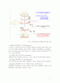 핵산(Nucleic acid)의 합성, 단백질(Protein)의 합성과 세포막을 통한 물질이동 5페이지