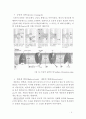 핵산(Nucleic acid)의 합성, 단백질(Protein)의 합성과 세포막을 통한 물질이동 8페이지