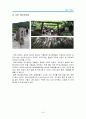 2박3일 일본 여행기행문 - 고베(코베/神戶), 교토(쿄토/京都), 오사카(大阪), 나라(奈良) [일본여행 기행문, 일본여행기, 일본여행, 고베, 교토, 오사카, 나라, 여행기, 해외여행] 11페이지