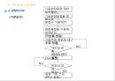 시공계획서(SPS공법) 19페이지