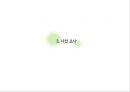 근린주구이론과 현재도시 12페이지