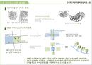 근린주구이론과 현재도시 40페이지