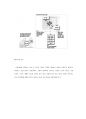 POE(Post-Occupancy Evaluation)의 역할과 효과 (효용, 역사, 구성요소) 23페이지