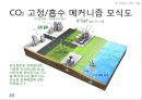 친환경 건축재료 및 구법 (건축재료 총론, 친환경 건축 기술, 지속가능시대 시멘트/콘크리트 개발 방향).pptx 58페이지