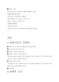 [외식산업론] 프랜차이즈(프렌차이즈) 정보 분석 및 가맹점 운영에 대한 조사 - 네네치킨 5페이지