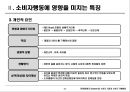 5장 소비자시장과 소비자구매행동 8페이지