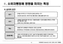 5장 소비자시장과 소비자구매행동 9페이지