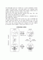[기술경영(技術經營)] 기술경영의 목적, 기술경영의 범위, 기술경영의 방향 11페이지
