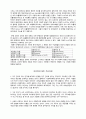토인비의 문명사관 3페이지