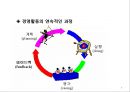 성공하는 CEO들의 7가지 습관 _ 비지니스를 위한 Bible,효과적인 사람이 되기 위한 습관 7페이지
