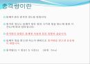 운동량과 충격량 4페이지