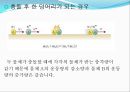 운동량과 충격량 6페이지