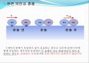 운동량과 충격량 10페이지