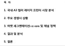 [마케팅 사례 연구] 시장세분화 - 후지제록스 A3 컬러 레이저 프린터 마케팅 전략.ppt 2페이지