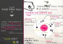 2013 KOSAC 진에어 마케팅전략PPT- 광고경진대회 출품작 21페이지