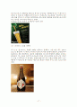 Carlsberg 칼스버그 맥주 기업분석과 칼스버그 글로벌 마케팅전략 분석 레포트 18페이지