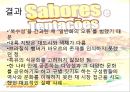 [글로벌 경영사례] 남미 진출사례 - 서브웨이(Subway)와 삼성전자 및 케라시스(Kerasys)의 남미 진출사례.ppt 17페이지