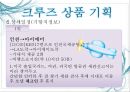 크루즈 상품개발-골드미스를 타겟으로 8페이지