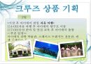 크루즈 상품개발-골드미스를 타겟으로 9페이지