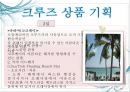 크루즈 상품개발-골드미스를 타겟으로 10페이지