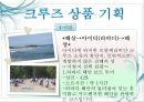 크루즈 상품개발-골드미스를 타겟으로 11페이지