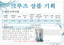 크루즈 상품개발-골드미스를 타겟으로 14페이지