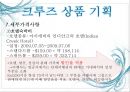 크루즈 상품개발-골드미스를 타겟으로 16페이지