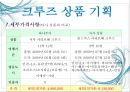 크루즈 상품개발-골드미스를 타겟으로 17페이지