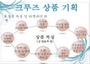 크루즈 상품개발-골드미스를 타겟으로 19페이지