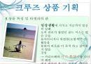 크루즈 상품개발-골드미스를 타겟으로 20페이지