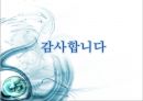 크루즈 상품개발-골드미스를 타겟으로 24페이지
