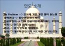 현대차와 LG전자의 인도시장 진출 성공사례 3페이지
