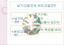 애덤앤이브를 읽고 나의 인생설계 - 태양이 될수 없으면 별이 되자!.pptx 10페이지