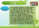 구세군의발달사 및 복지관조사.pptx 17페이지