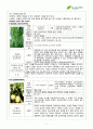 서경대학교 아로마테라피(Aromatherapy) 과제 PASS 3페이지
