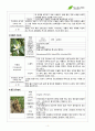서경대학교 아로마테라피(Aromatherapy) 과제 PASS 4페이지