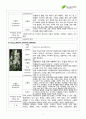서경대학교 아로마테라피(Aromatherapy) 과제 PASS 5페이지