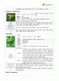 서경대학교 아로마테라피(Aromatherapy) 과제 PASS 6페이지