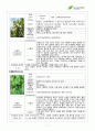 서경대학교 아로마테라피(Aromatherapy) 과제 PASS 7페이지