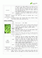 서경대학교 아로마테라피(Aromatherapy) 과제 PASS 9페이지