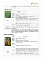 서경대학교 아로마테라피(Aromatherapy) 과제 PASS 10페이지