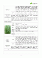 서경대학교 아로마테라피(Aromatherapy) 과제 PASS 12페이지