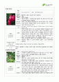 서경대학교 아로마테라피(Aromatherapy) 과제 PASS 13페이지